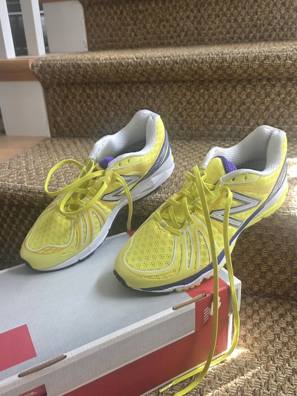 New Balance 890v2 "The Barringer" women's running shoe.   NWOT